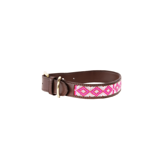 Kentucky – Collier pour chien