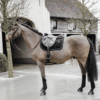 Kentucky – Tapis de selle basic velvet jumping