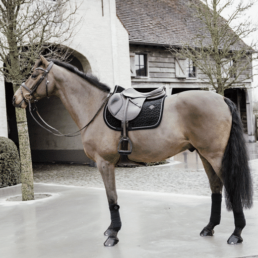 Kentucky – Tapis de selle basic velvet jumping