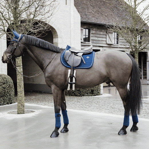 Kentucky – Tapis de selle basic velvet jumping