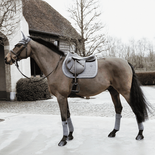 Kentucky – Tapis de selle basic velvet jumping