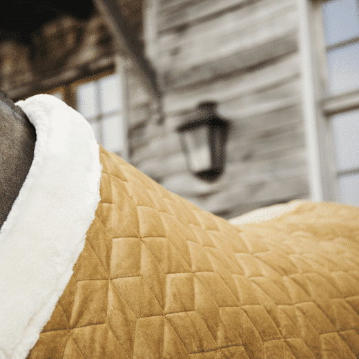 Kentucky – Couverture de présentation velvet