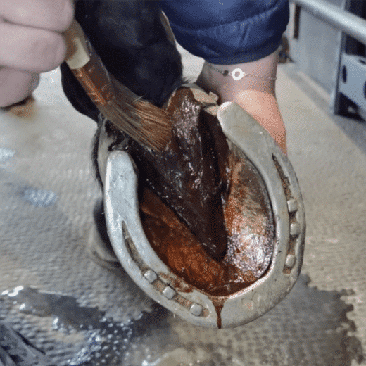 067 – Entretien fourchettes