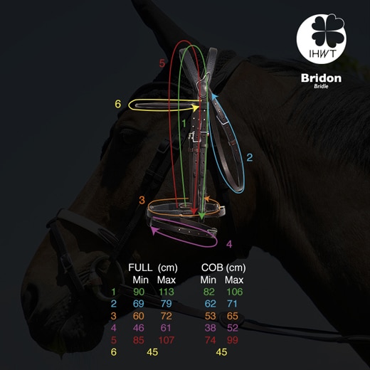 IHWT – Bridon évolution infinity