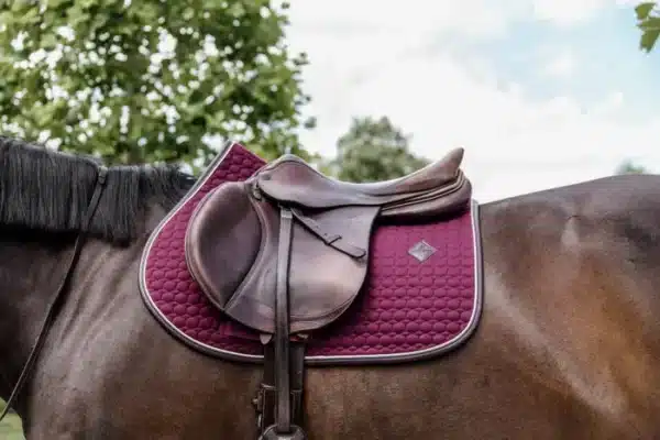 Kentucky – Tapis Classic Leather Jumping