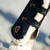 Kentucky – Guêtres sheepskin elastic