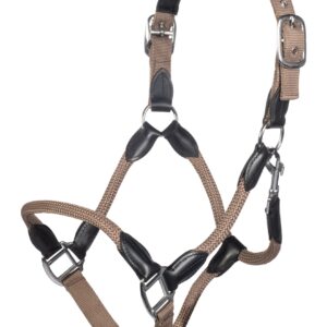 Hkm – Longe Carlotta