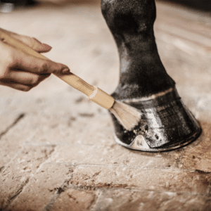 Kentucky – Pinceau sabots