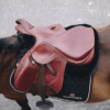 Kentucky – Amortisseur sheepskin absorb mouton