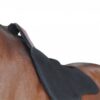 Privilège équitation – Amortisseur feutre