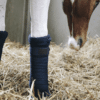 Kentucky – Bandes de repos
