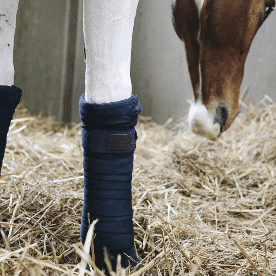 Kentucky – Bandes de repos