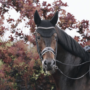 Kentucky – Bonnet wellington sparkling