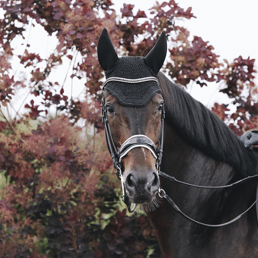 Kentucky – Bonnet wellington sparkling