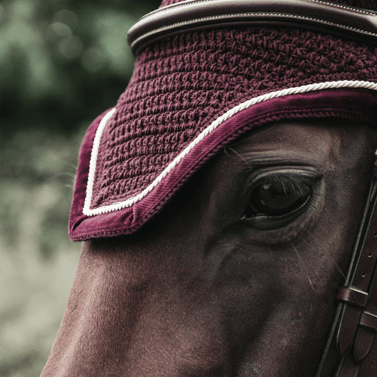 Kentucky – Bonnet corduroy