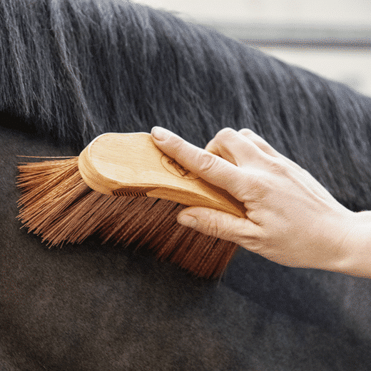 Kentucky – Bouchon moyen
