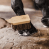 Kentucky – Brosse à sabots