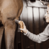 Kentucky – Bouchon dur
