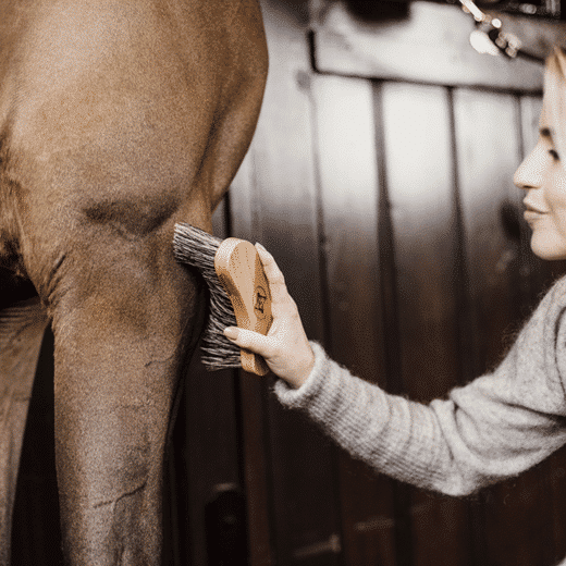 Kentucky – Bouchon dur