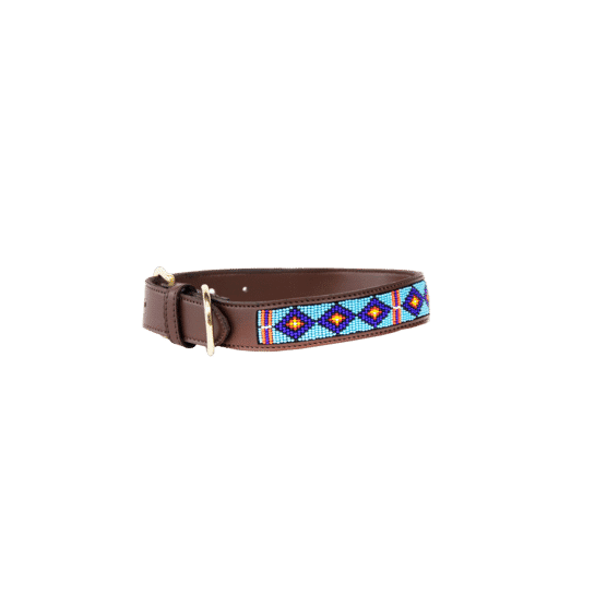 Kentucky – Collier pour chien
