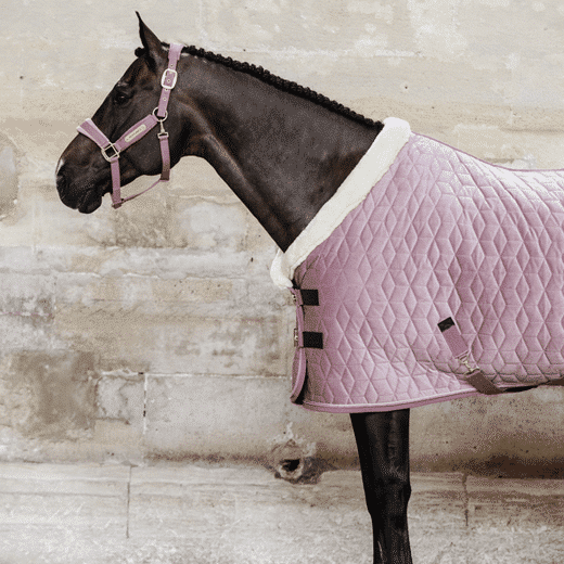 Kentucky – Couverture de présentation velvet