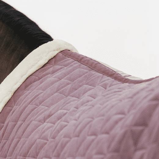 Kentucky – Couverture de présentation velvet