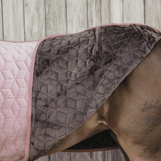 Kentucky – Couverture de présentation velvet