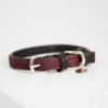 Kentucky – Collier pour chien en nylon tressé