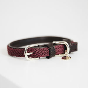 Kentucky – Collier pour chien en nylon tressé
