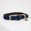 Kentucky – Collier pour chien en nylon tressé
