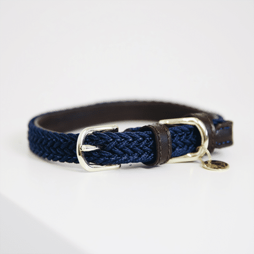 Kentucky – Collier pour chien en nylon tressé