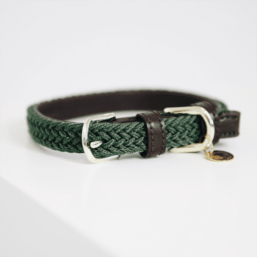 Kentucky – Collier pour chien en nylon tressé