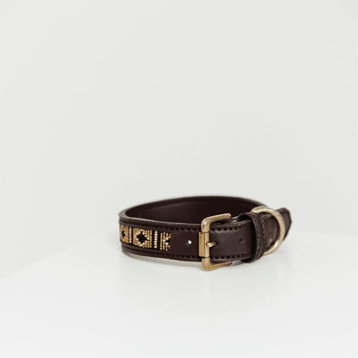 Kentucky – Collier pour chien avec perles