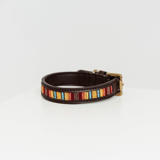 Kentucky – Collier pour chien avec perles