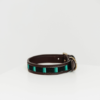 Kentucky – Collier pour chien avec perles