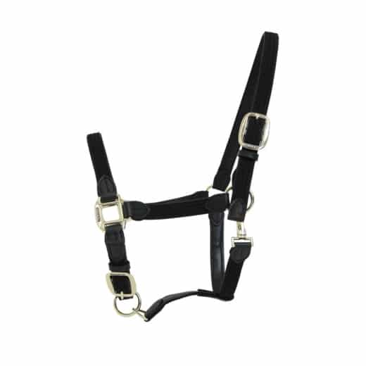Kentucky – Licol en nylon tressé