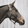 Kentucky – Licol anatomique en cuir