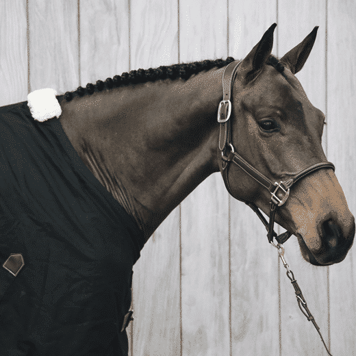 Kentucky – Licol anatomique en cuir