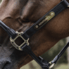 Kentucky – Licol anatomique en cuir