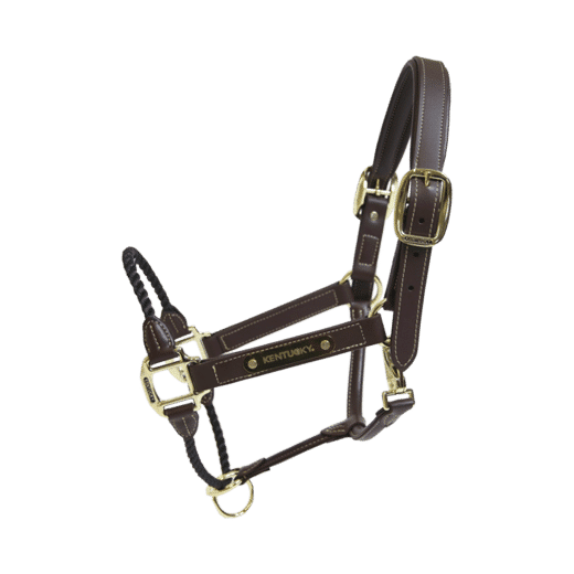 Kentucky – Licol en cuir Rope