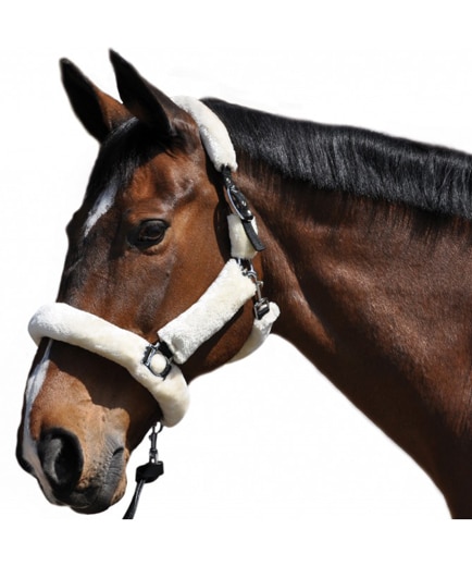 Privilège équitation – Licol de transport mouton naturel