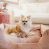 Kentucky – Lit pour chien