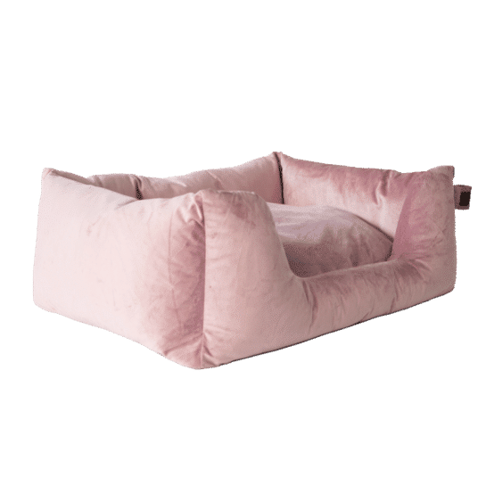 Kentucky – Lit pour chien