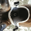 Kentucky – Sangle bavette sheepskin mouton naturel