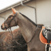 Kentucky – Tapis de selle velvet jumping