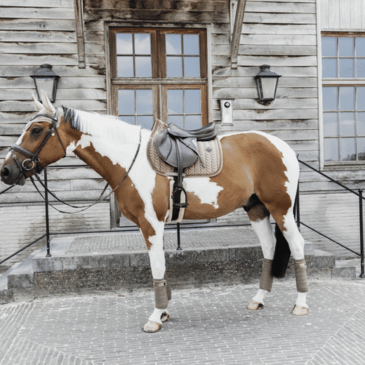 Kentucky – Tapis de selle velvet jumping