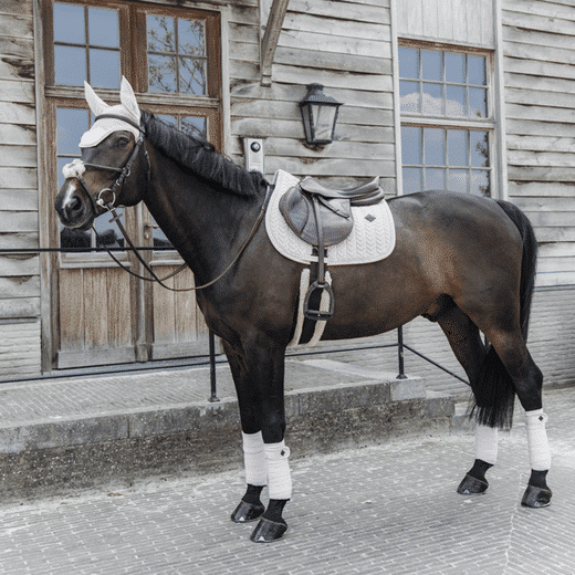 Kentucky – Tapis de selle velvet pearls jumping