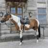Kentucky – Tapis de selle velvet pearls jumping
